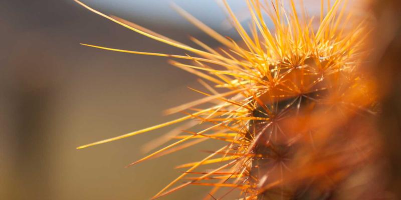 从友谊到爱情：爱多天空婚姻咨询教你识别关系升级的关键信号