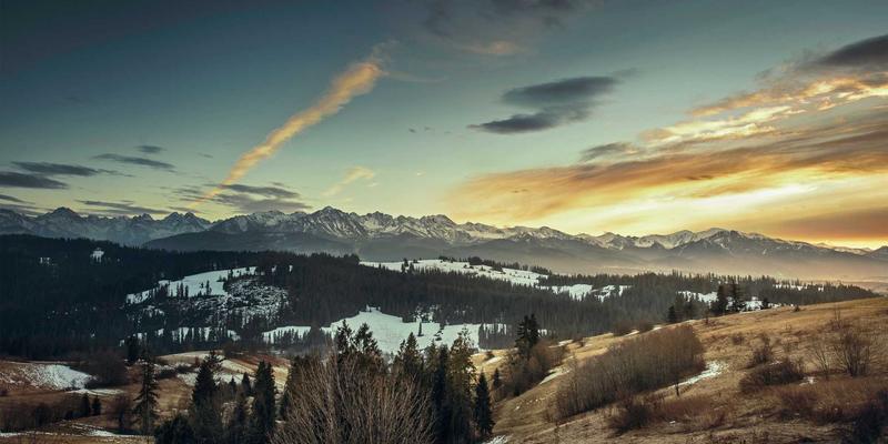 从婚恋交友到婚姻成功：爱多天空的专业恋爱指导与情感咨询策略