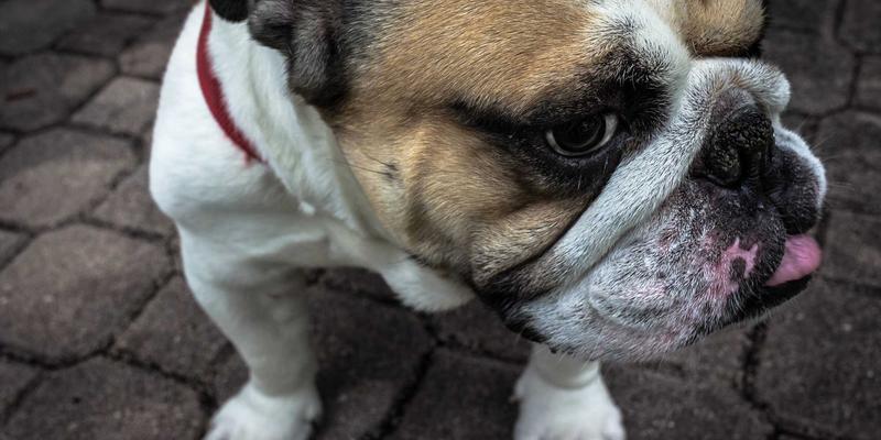 内向者婚恋交友全攻略：从相亲破冰到婚姻咨询的进阶指南