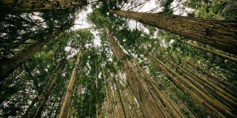 婚恋交友92：从相亲到婚姻咨询，现代恋爱全流程指导