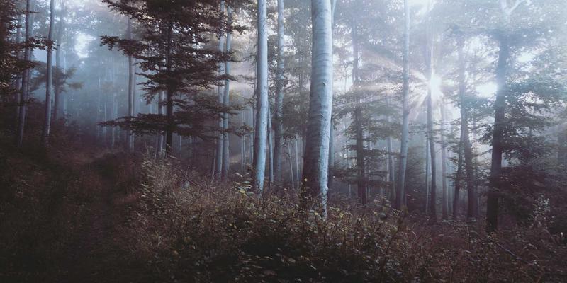 婚恋交友中的隐私保护与边界设定：爱多天空婚姻咨询指南