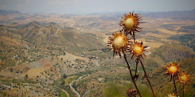 婚恋交友前景展望：情感咨询、婚姻咨询与恋爱指导如何重塑现代关系