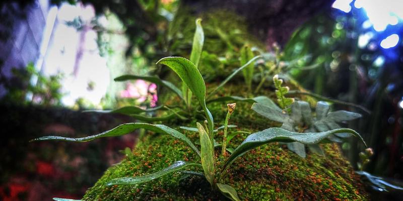 婚恋交友平台算法揭秘：大数据如何为你匹配灵魂伴侣？