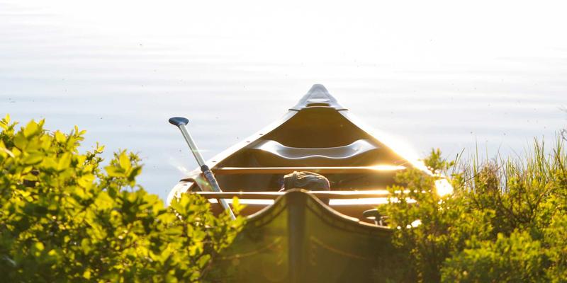 婚恋交友新思路：基于MBTI人格类型寻找性格契合的伴侣