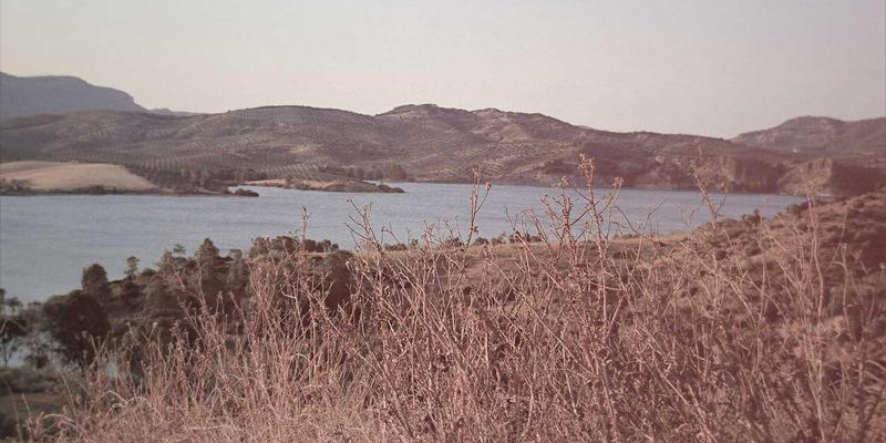 婚恋交友新指南：从恋爱指导到相亲实战，爱多天空助你开启幸福旅程