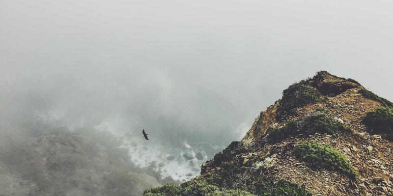 婚恋交友新时代：从相亲到婚姻咨询的完整幸福指南