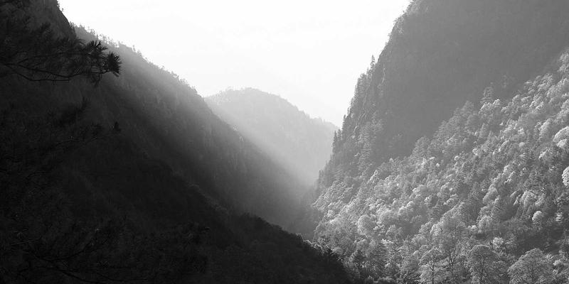 婚恋交友新时代：婚姻咨询与情感咨询如何为您的爱情保驾护航？