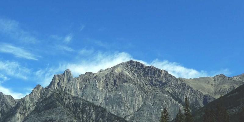 婚恋交友新篇章：跨越文化差异的情感融合策略 | 爱多天空婚姻咨询