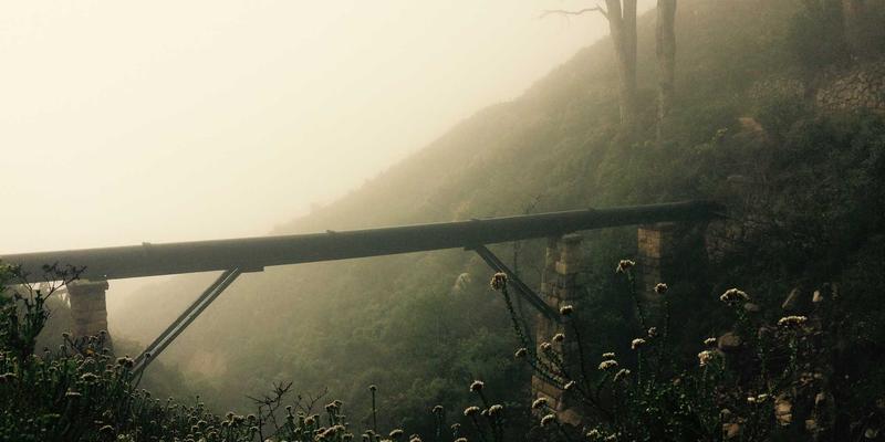 婚恋交友新视角：基于MBTI的性格匹配，相似性与互补性如何抉择？