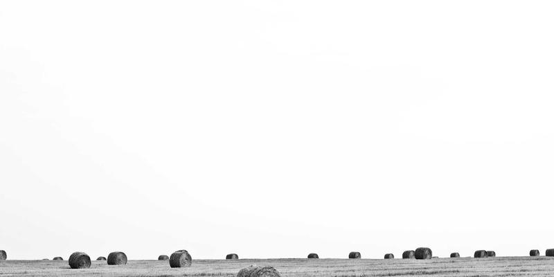 婚恋交友新趋势：从相亲到婚姻情感咨询的完整支持体系