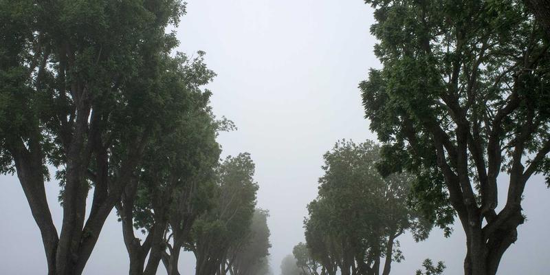 婚恋交友进阶指南：从相亲到深度情感咨询的智慧之路