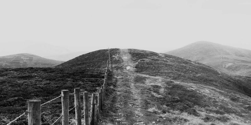 当代婚恋交友新趋势：专业恋爱指导与情感咨询如何重塑亲密关系