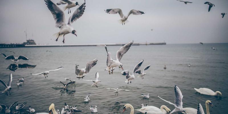 恋爱指导与婚姻咨询：如何培养情绪智力，提升婚恋冲突解决能力