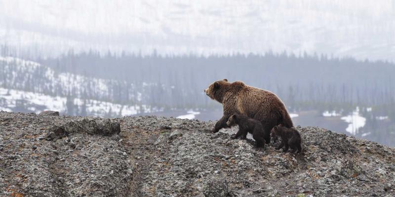 慢恋爱理念在快餐式婚恋交友时代的实践路径 | 爱多天空专业恋爱指导