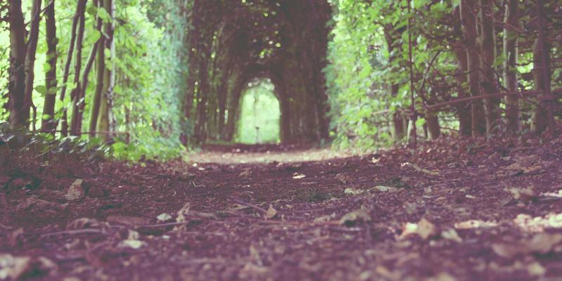 慢节奏婚恋：在快餐时代如何通过深度了解建立长期关系 | 婚恋交友与情感咨询指南