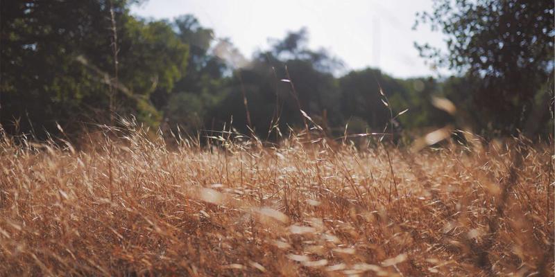 爱多天空：专业恋爱指导，开启您的婚恋交友新篇章