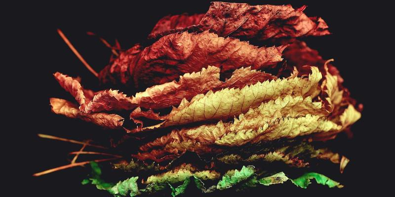 爱多天空情感咨询：相亲时看懂这5个微表情，瞬间判断契合度