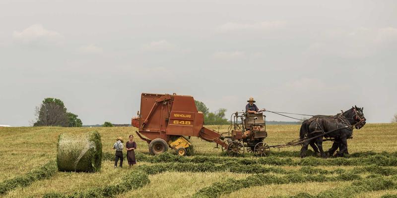 父母介入婚恋交友的边界探讨：爱多天空情感咨询教你平衡家庭意见与个人选择