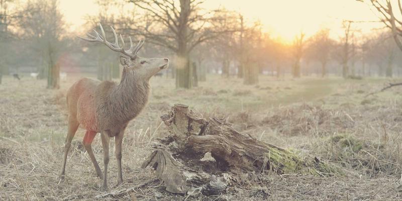 相亲、爱多天空与情感咨询：现代婚恋交友模式深度对比