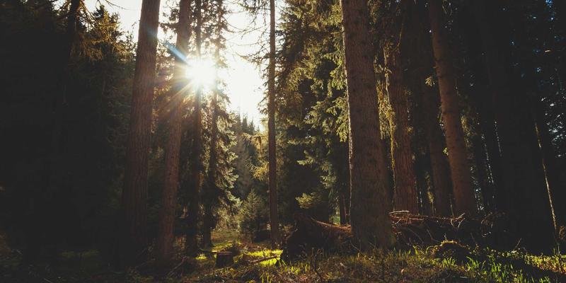 职场精英如何高效平衡事业与婚恋交友时间？专业情感咨询与婚姻咨询指南