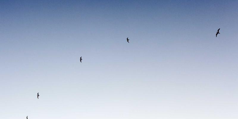 职场精英高效婚恋指南：如何在忙碌工作中科学管理相亲与恋爱时间