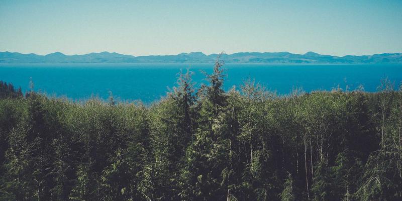 跨国婚恋交友指南：跨越文化差异的恋爱挑战与融合之道